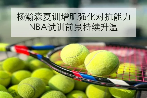 杨瀚森夏训增肌强化对抗能力 NBA试训前景持续升温